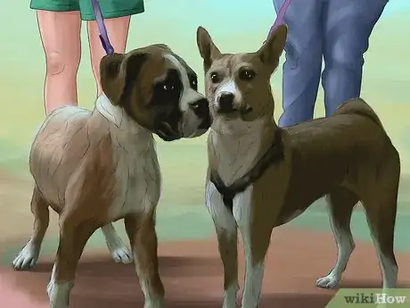 Image titled Teach Your Dog "On By" Step 10